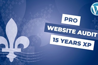 audit your website and send a detailed report