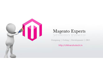 expert magento 2  developer