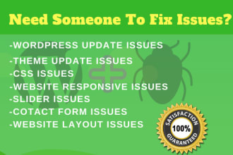 fix wordpress issues, wordpress errors for your website