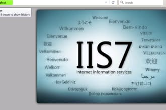 install,configure,fix any issue on your iis web server