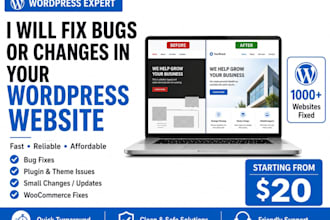 fix bugs or make changes in your wordpress website