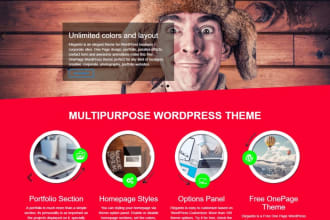 develop wordpress websites in low budget