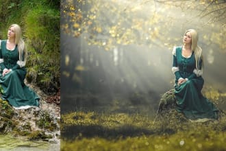 manipulate and edit your image within 1 day