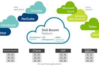 provide any services related to salesforce and dell boomi