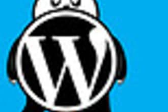 help You with any Wordpress Programming Issues