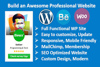 build clean and professional wordpress site