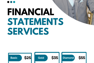 prepare balance sheet, income statement, profit and loss, cash flow