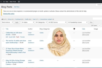 be word press virtual assistant for word press data entry