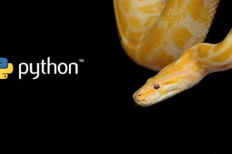 do python implementation and django website development