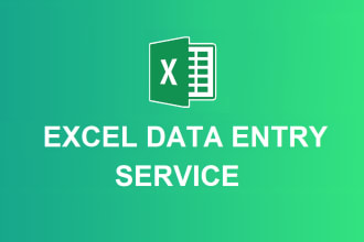 do excel data entry, copy paste, convert PDF, web research, typing, data entry
