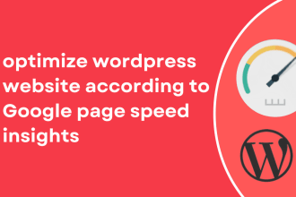 do wordpress speed optimization according to google page speed insights
