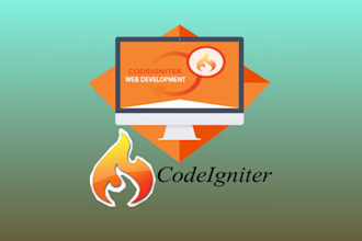 develop professional website or fixed issue in codeigniter