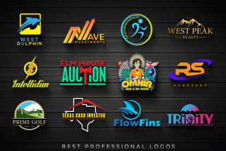do a modern professional business logo for you