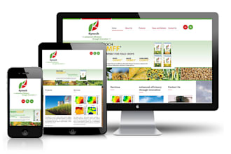 design and develop responsive website