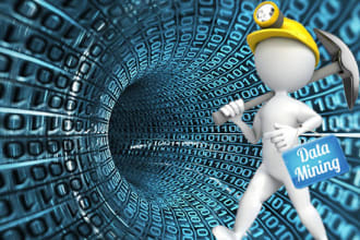 do professional data entry, mining and email extraction