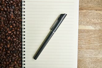 write articles and blog posts in 24 hours