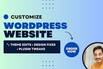 customize your wordpress website professionally