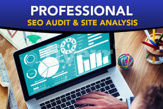 do professional SEO audit and website optimization