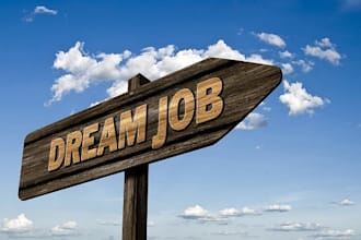 do online job hunt for you in 24 hours