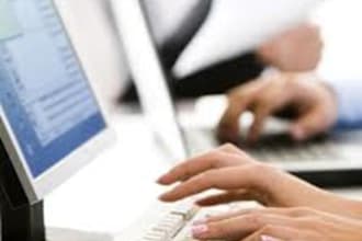 do data Entry work for 5 hours