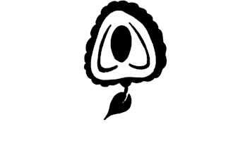 draw line art drawing