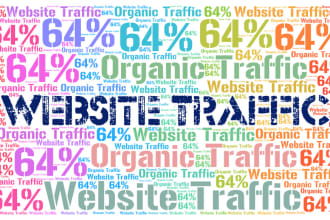 drive 300k target visitors traffic website for 1 month