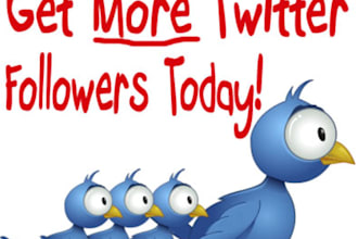 give 1000 real TWITTER followers within 48 hours