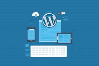 do wordpress installation and wordpress customization