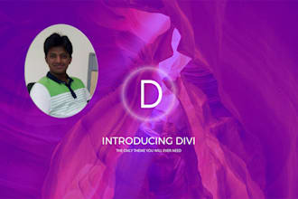 build divi wordpress website using divi theme
