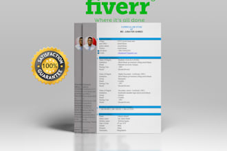design cv and resume in 24 hours
