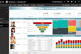 create professional power bi reports and dashboards