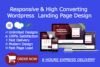professionally design a wordpress landing page in 6 hours