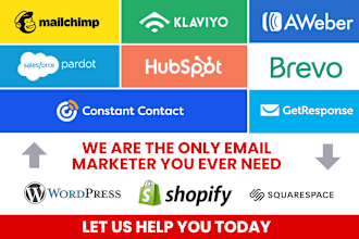 setup email optin campaign with mailchimp aweber etc on wordpress