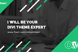 be your divi theme expert