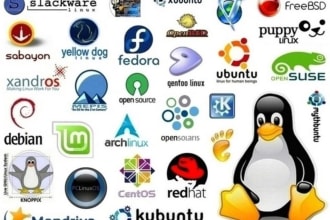 troubleshoot any linux server