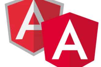 develop angular and pwa based web and mobile apps for you