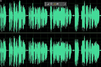 have my wife record a friendly female voiceover