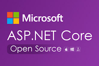do dotnet core web API development,  modification, bug fixing