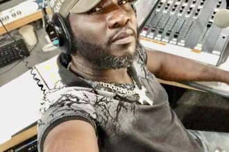 provide high quality radio or dj drops in english