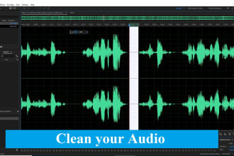 clean up, edit, enhance, fix, and repair your audio in just 2 hours