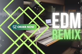 do professional edm remix for you