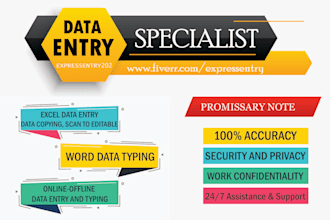 do accurate manual data entry and excel typing