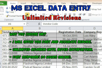 provide advance excel data entry