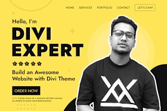 create personal or business wordpress website, landing page by divi theme