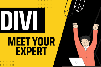 be your divi theme expert, customization with divi builder