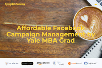 offer suggestions on and manage your facebook ads