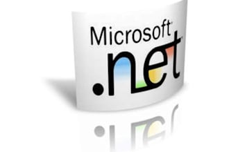 do dot net assignments