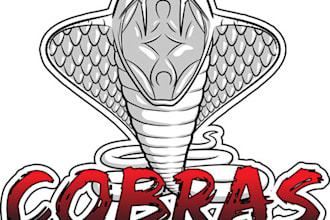 create a logo for you