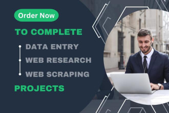 do any web research and data entry job