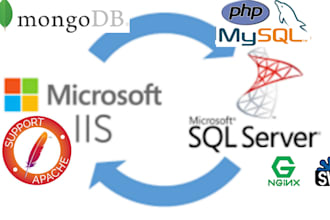 setup windows server iis PHP or wamp xamp
